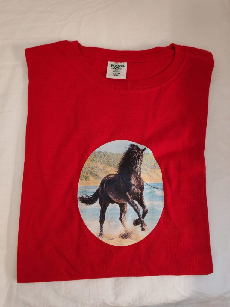 Camiseta · Caballo en la playa